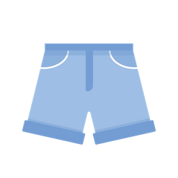 Shorts Pants Trousers Icon