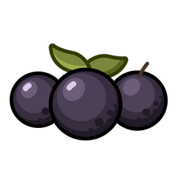 Jabuticaba  Icon