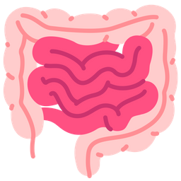 Intestine  Icon