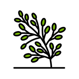 Plant  Icon