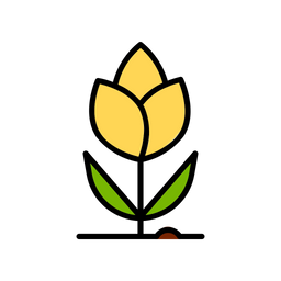 Tulips flowers  Icon