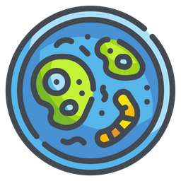 Bacteria  Icon