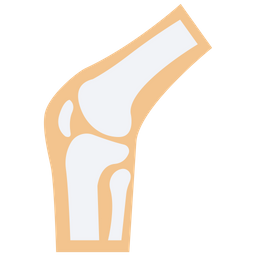 Bone Joints  Icon