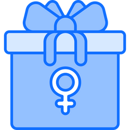 Gift  Icon