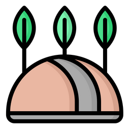 Forest  Icon