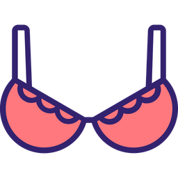 Bra  Icon