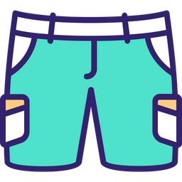 Cargo Shorts  Icon