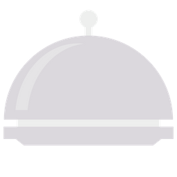 Platter  Icon