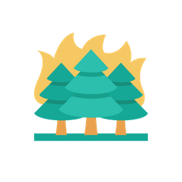 Forest Fire  Icon