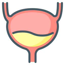 Bladder  Icon