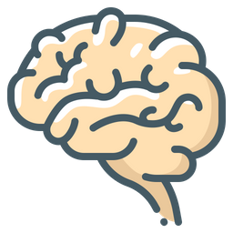 Brain  Icon