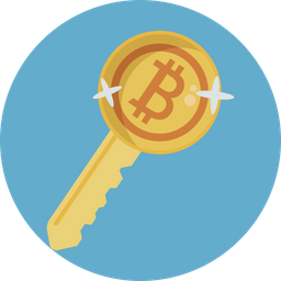 Bitcoin Key  Icon