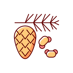 Cedar  Icon