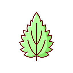 Nettle  Icon