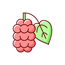 Mulberry  Icon