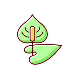 Anthurium  Icon