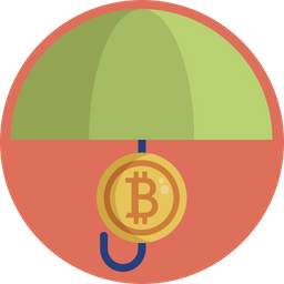 Bitcoin Investment  Icon