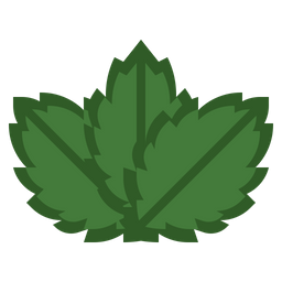 Herb  Icon