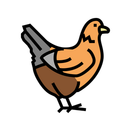 Chicken  Icon