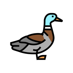 Duck  Icon