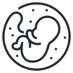 Baby Embryo  Icon