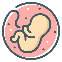 Embrión bebé  Icono