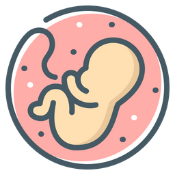 Baby Embryo  Icon