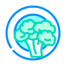 Broccoli  Icon