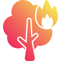 Forest Fire  Icon