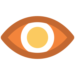 Eye  Icon