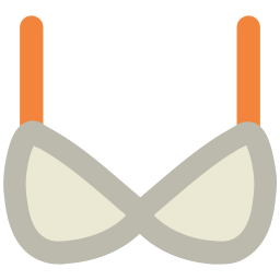 Bra  Icon