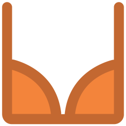 Bra  Icon