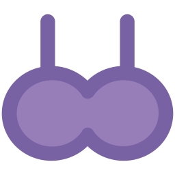 Bra  Icon