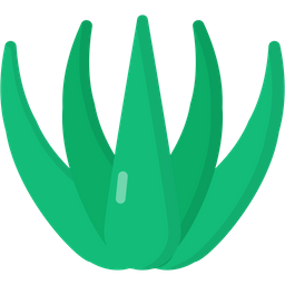 Agave  Icon