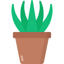 Aloe Vera  Symbol