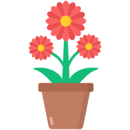 Chrysantheme  Symbol