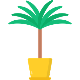 Dracaena  Symbol