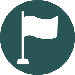 Blank Flag  Icon