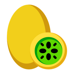 Kiwi  Icon