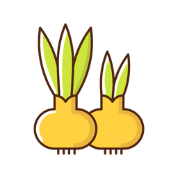 Flower bulbs  Icon