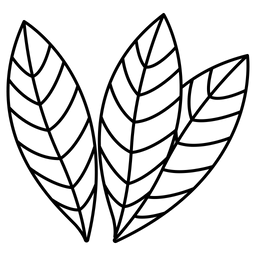 Lorbeerblatt  Symbol