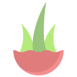 Aloe Vera Pflanze  Symbol