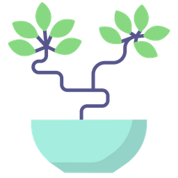 Carmona-Bonsai-Pflanze  Symbol