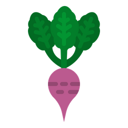 Beet  Icon