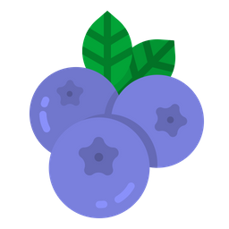 Blueberry  Icon