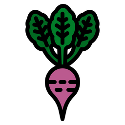 Beet  Icon