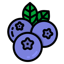 Blueberry  Icon