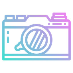 Camera  Icon