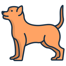 Chihuahua  Icon