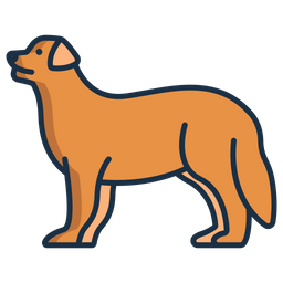 Bernese Mountain  Icon